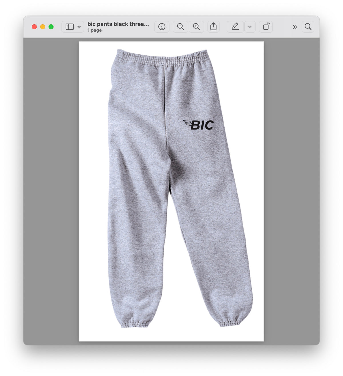 BIC Wing Sweatpants